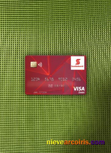 Guyana Bank of Nova Scotia visa debit card photolook